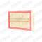 STARK RECAMBIOS SKAF0060341 - AIR FILTER