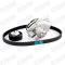 STARK RECAMBIOS SKWPT0750049 - WATER PUMP & TIMING BELT SET